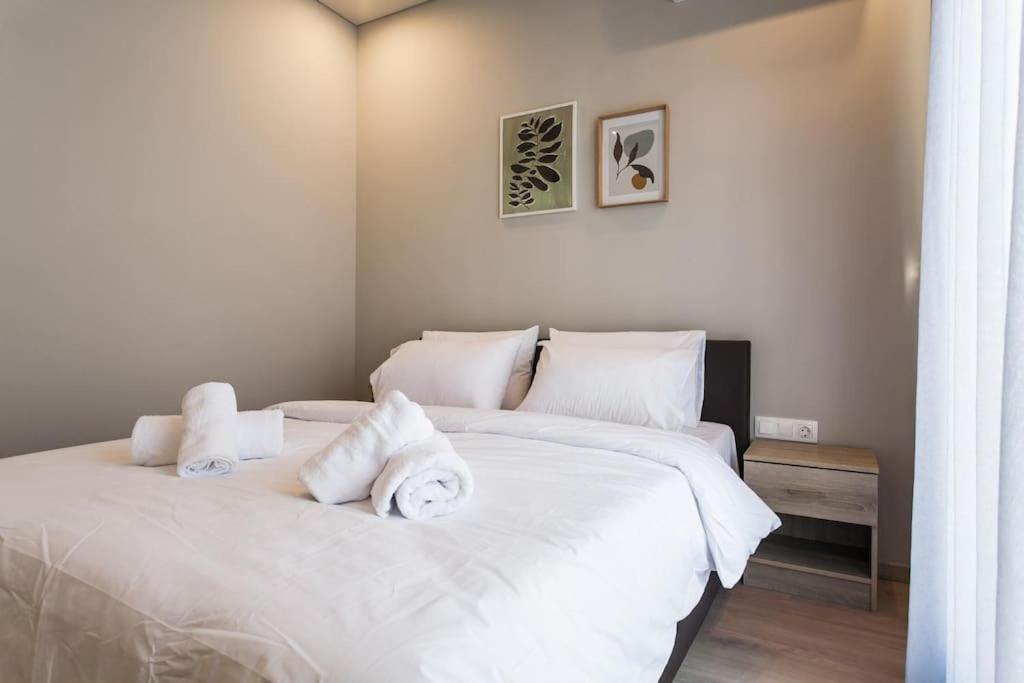 Piraeus Deluxe 2Bdr Apt - Near Metro And Port Buitenkant foto